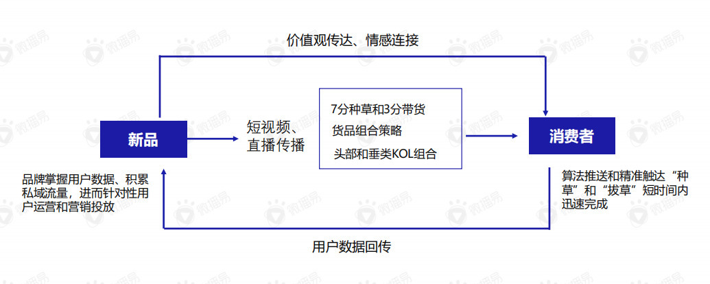 关于直播带货的黄金组合策略