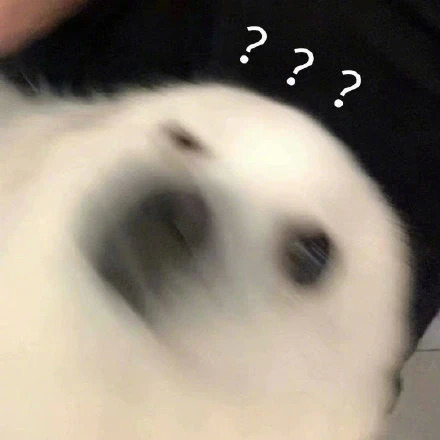 茅台酒纸箱炒一个到500元？我想改行捡破烂了！